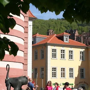 https://hotel-zur-alten-brucke.hotelsheidelberg.net